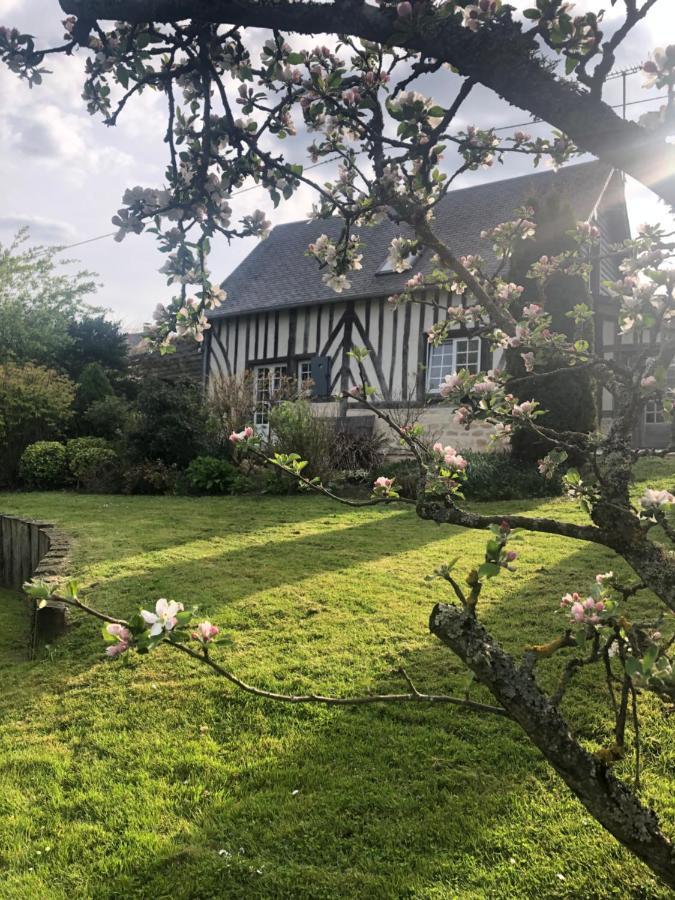 Gite 'Les Matins Calmes ' Cheffreville-Tonnencourt Exterior foto